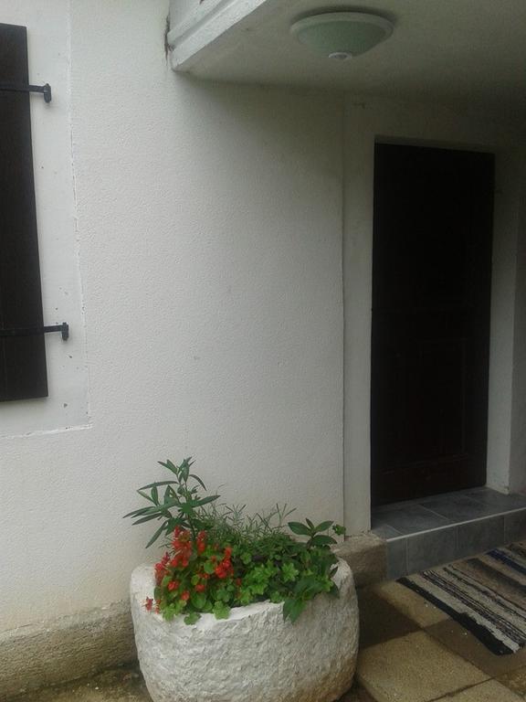 בלי Apartment Kalikut חדר תמונה